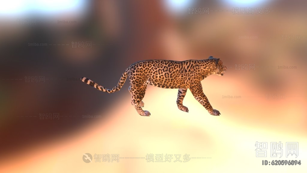Modern Mammal