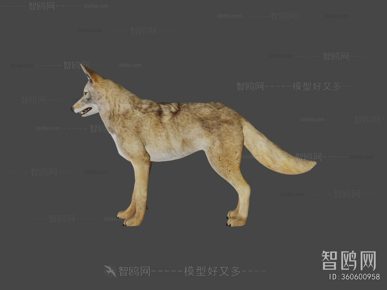 Modern Animal