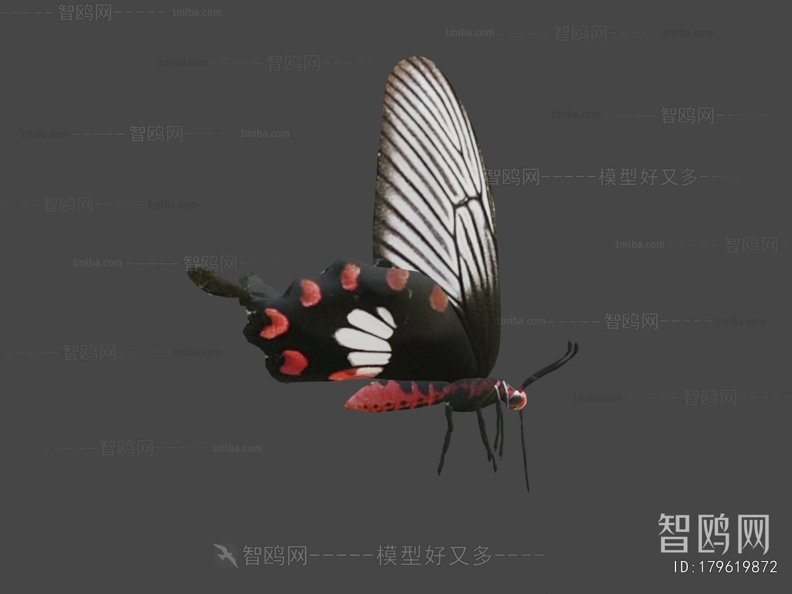 Modern Animal