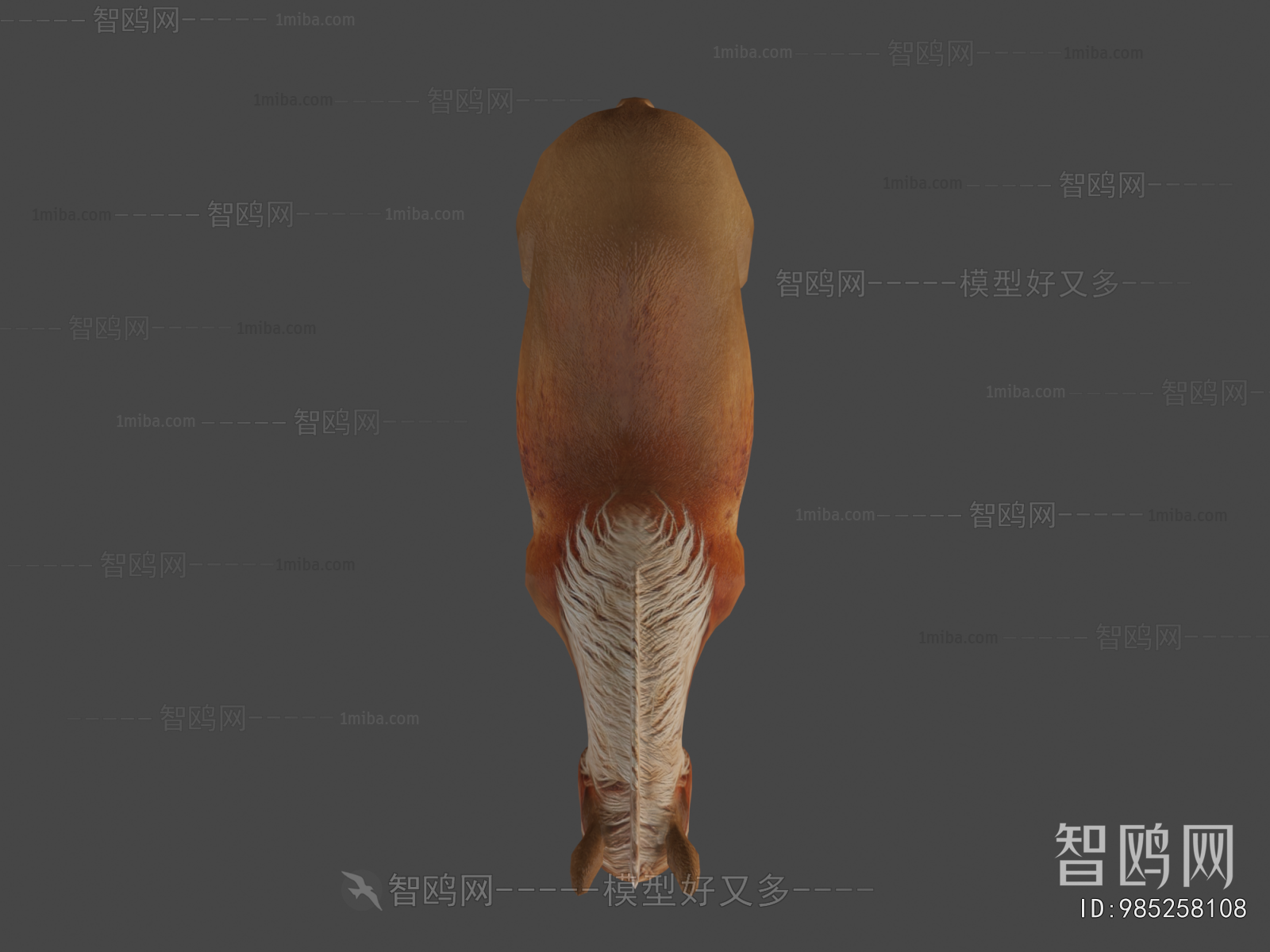 Modern Animal Horse
