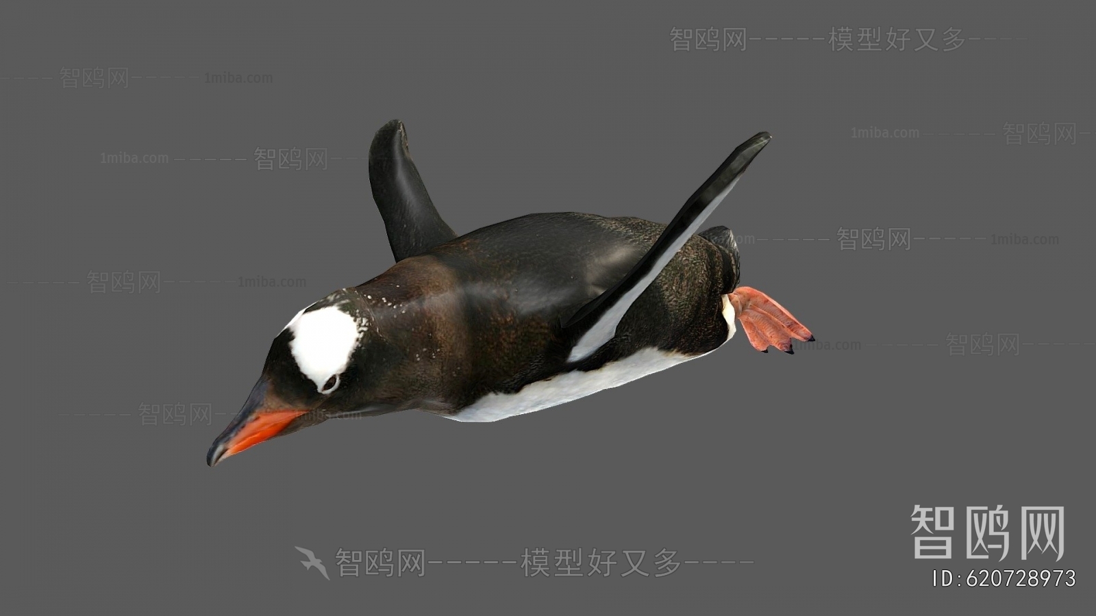 Modern Animal