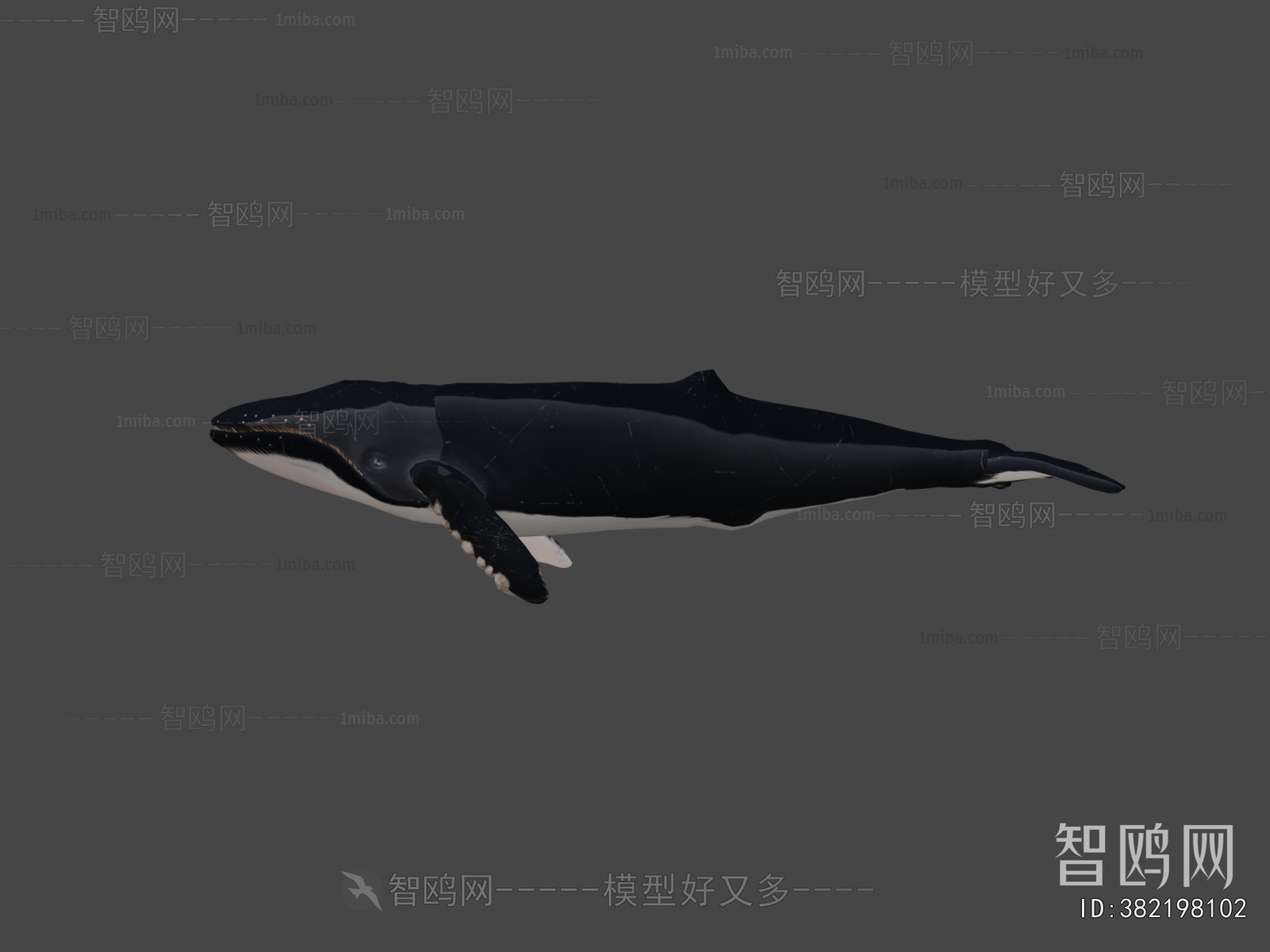 Modern Mammal