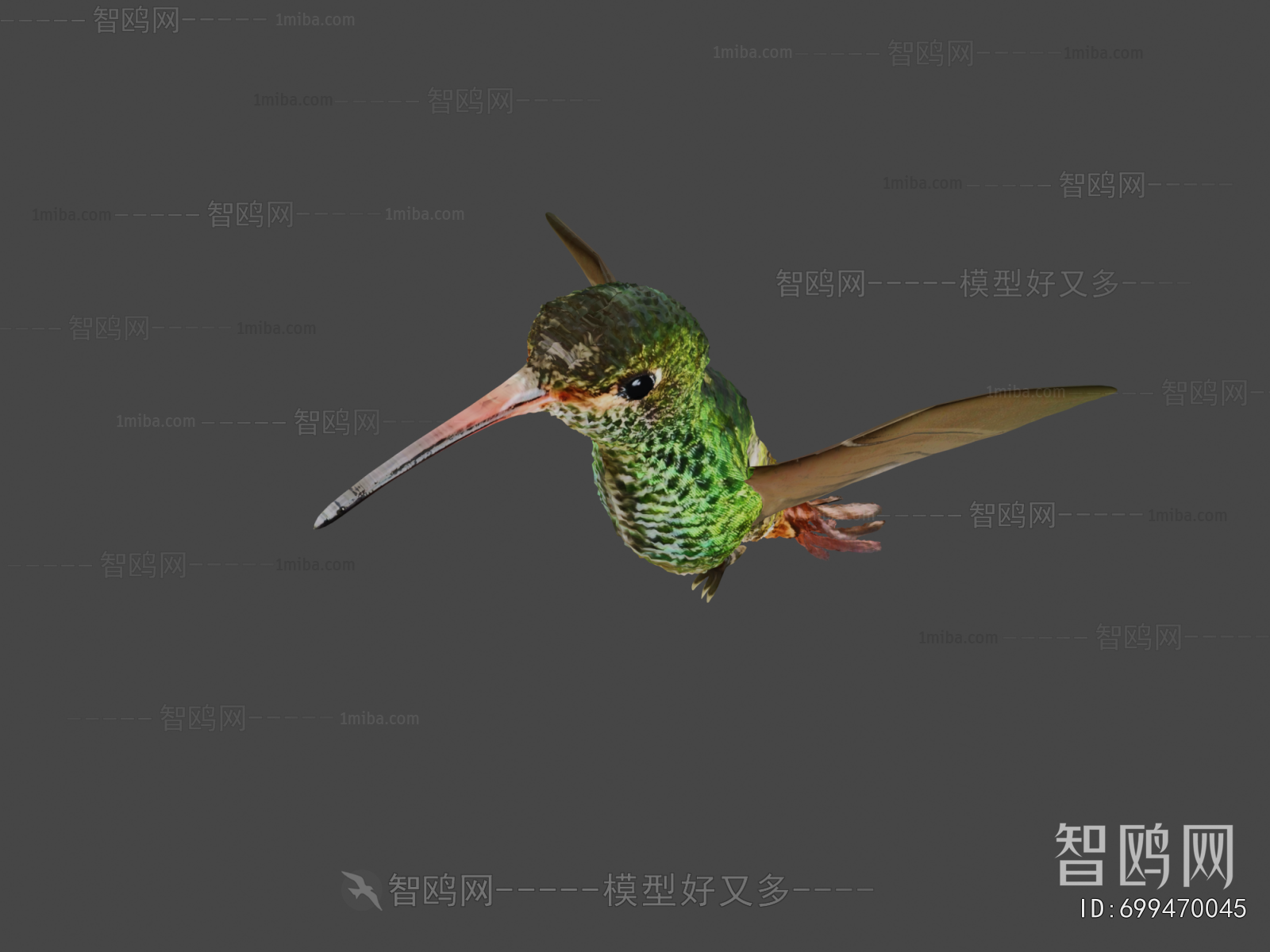 Modern Animal