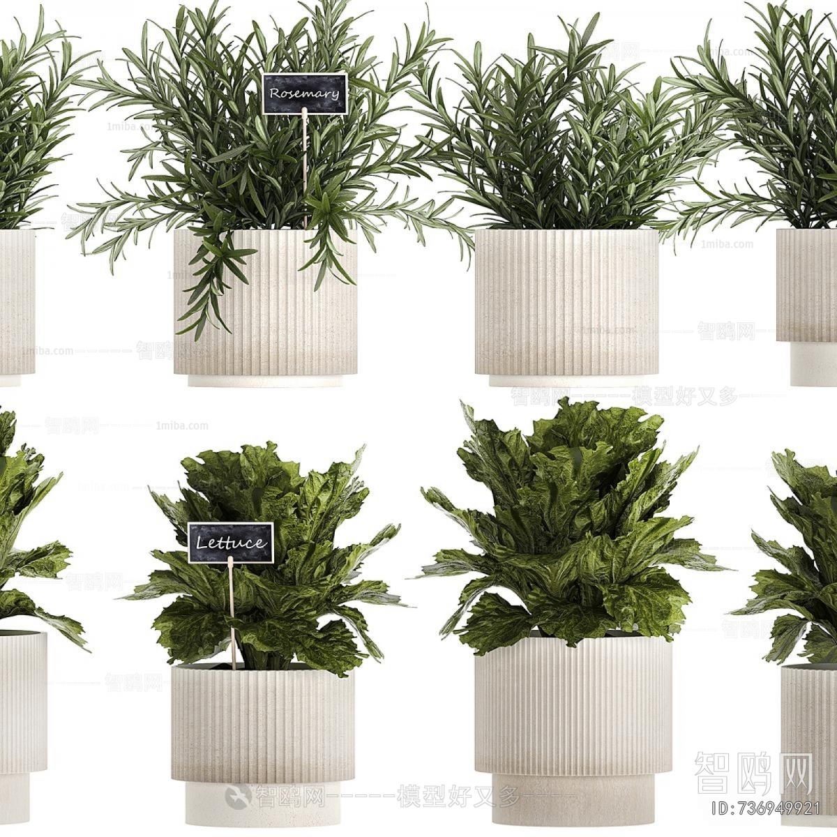 Modern Potted Green Plant