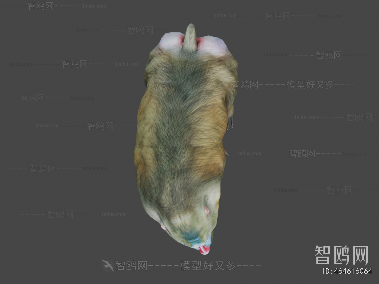 Modern Animal