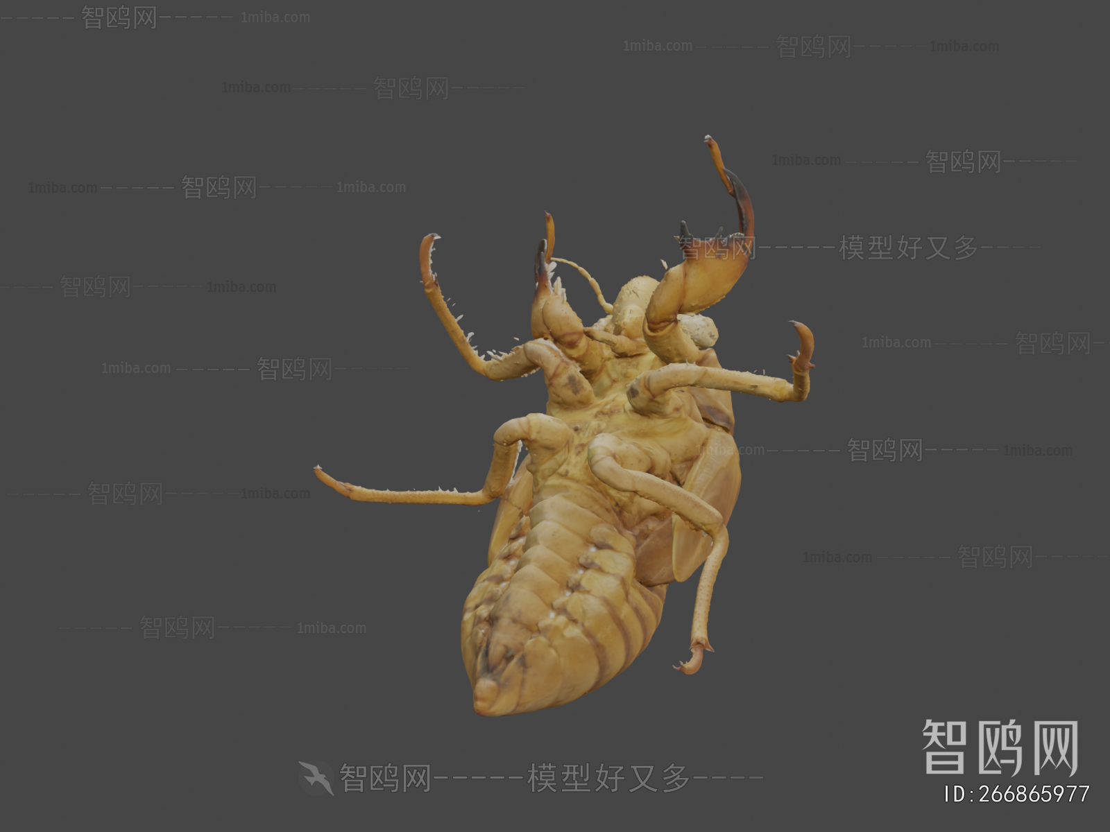 Modern Animal