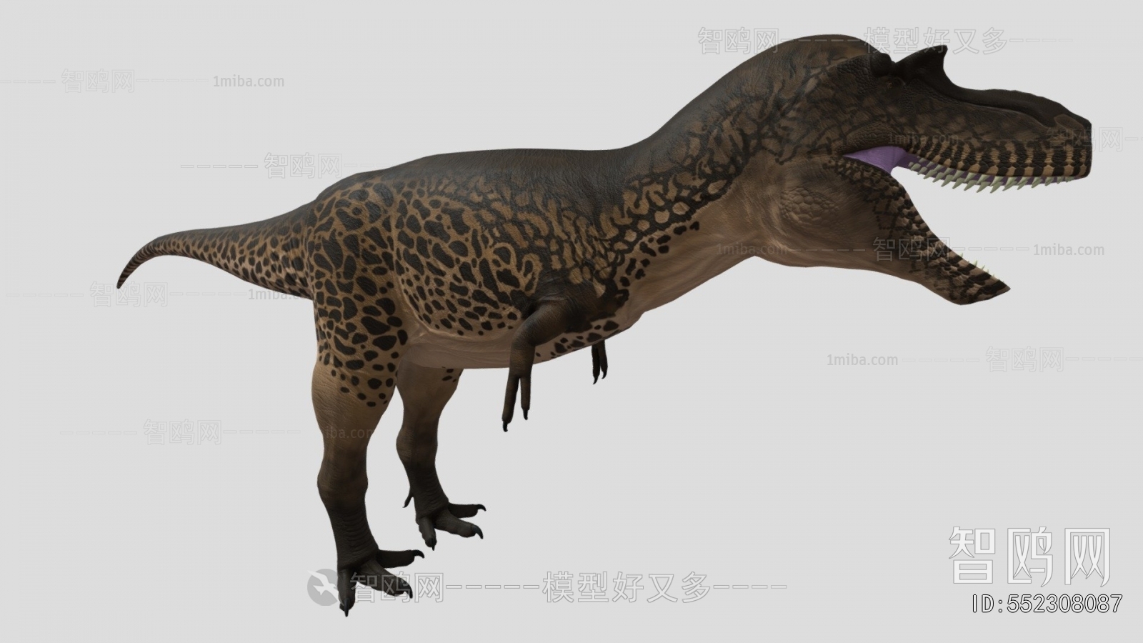 Modern Animal