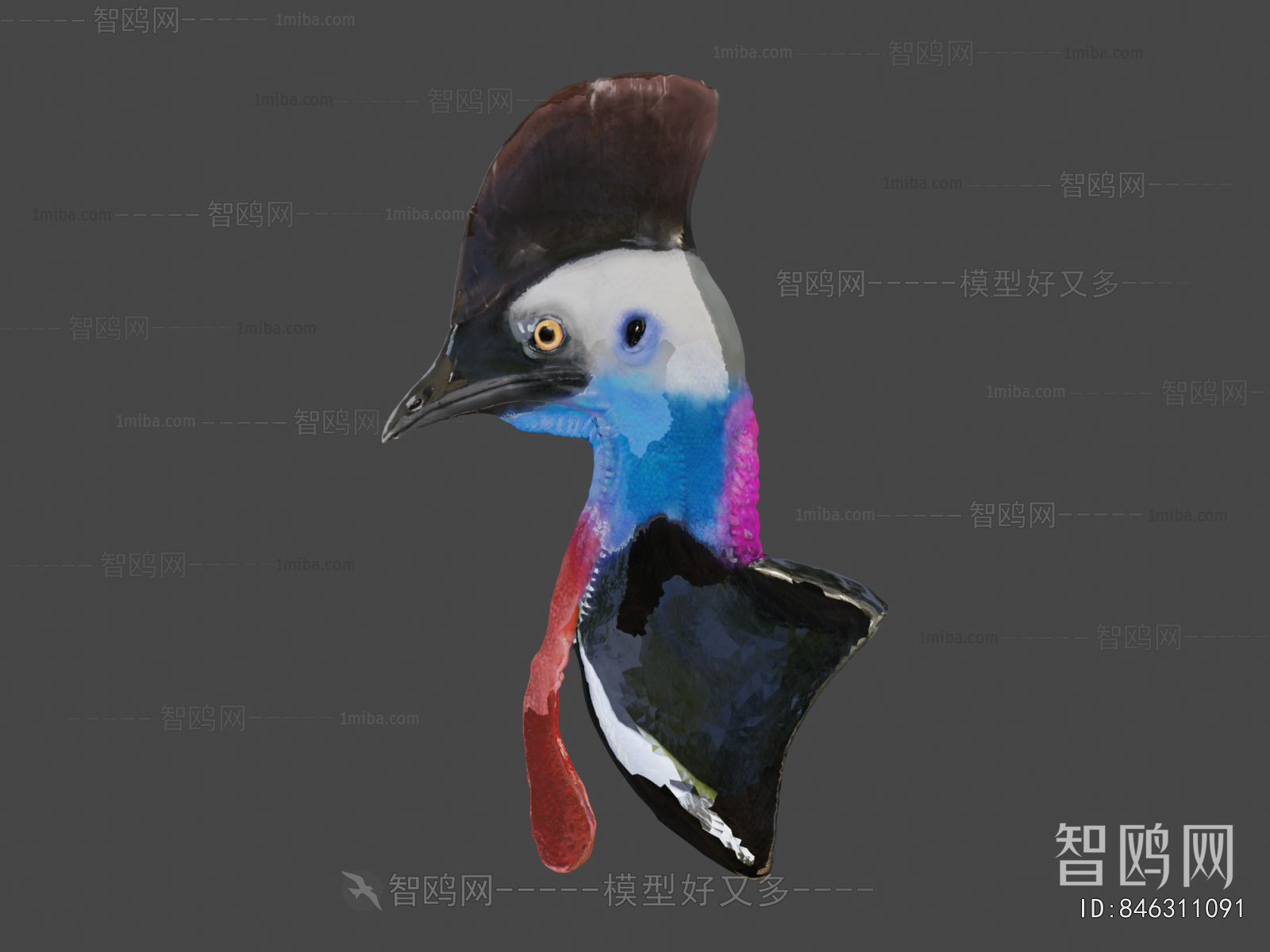 Modern Animal
