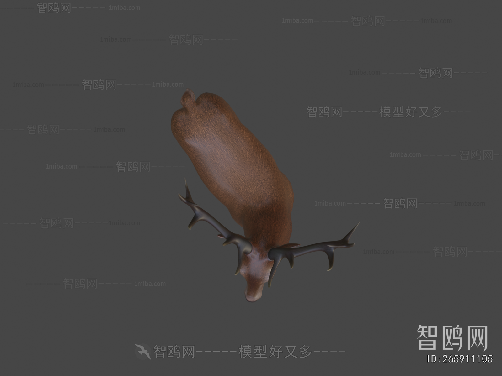 Modern Mammal