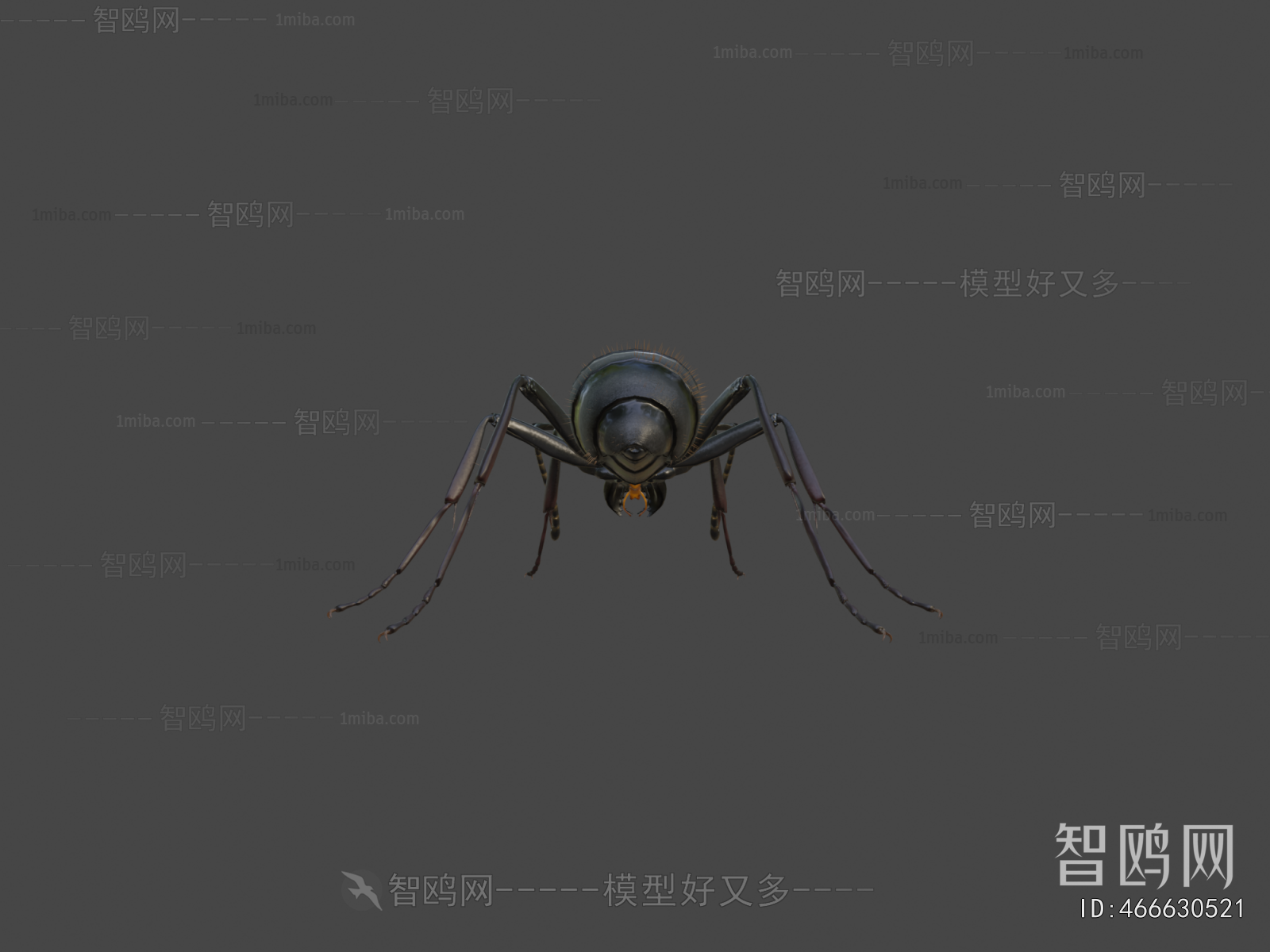 Modern Animal