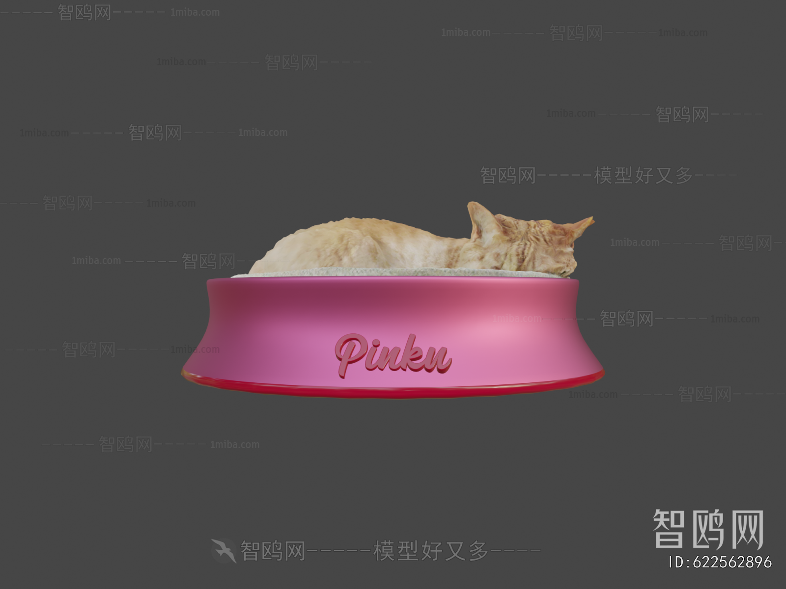 Modern Animal Cat