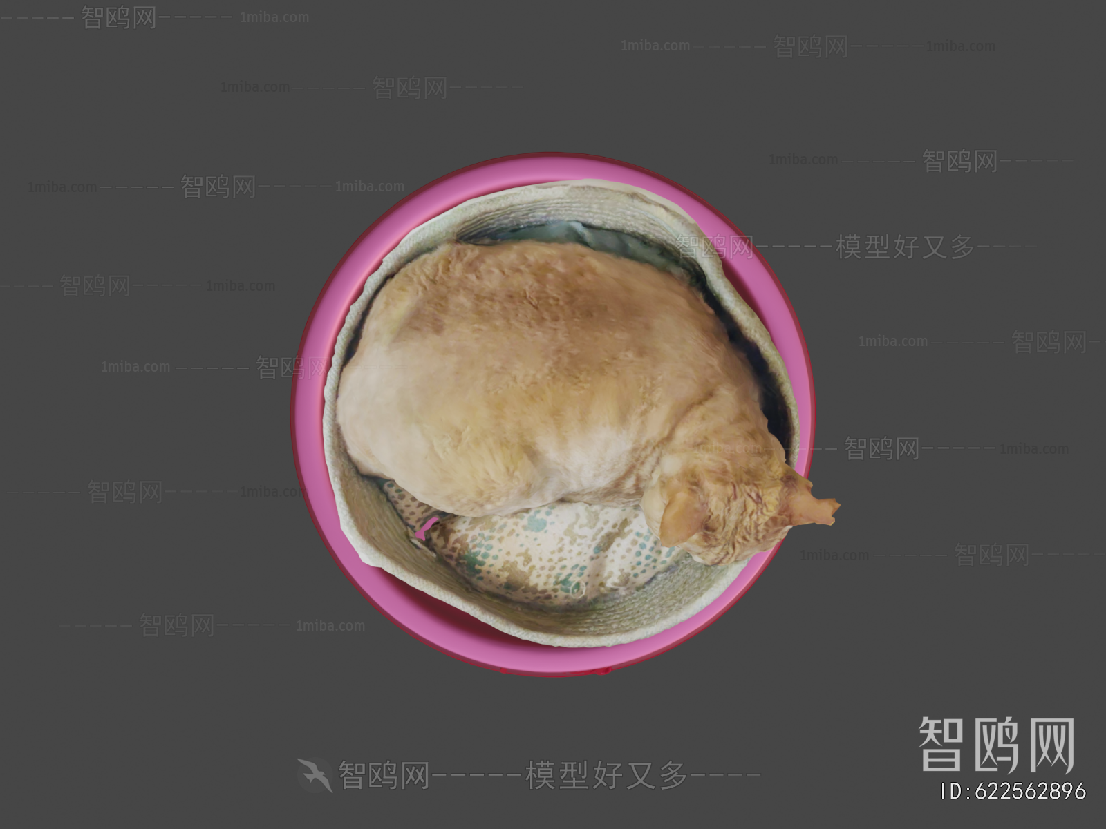 Modern Animal Cat
