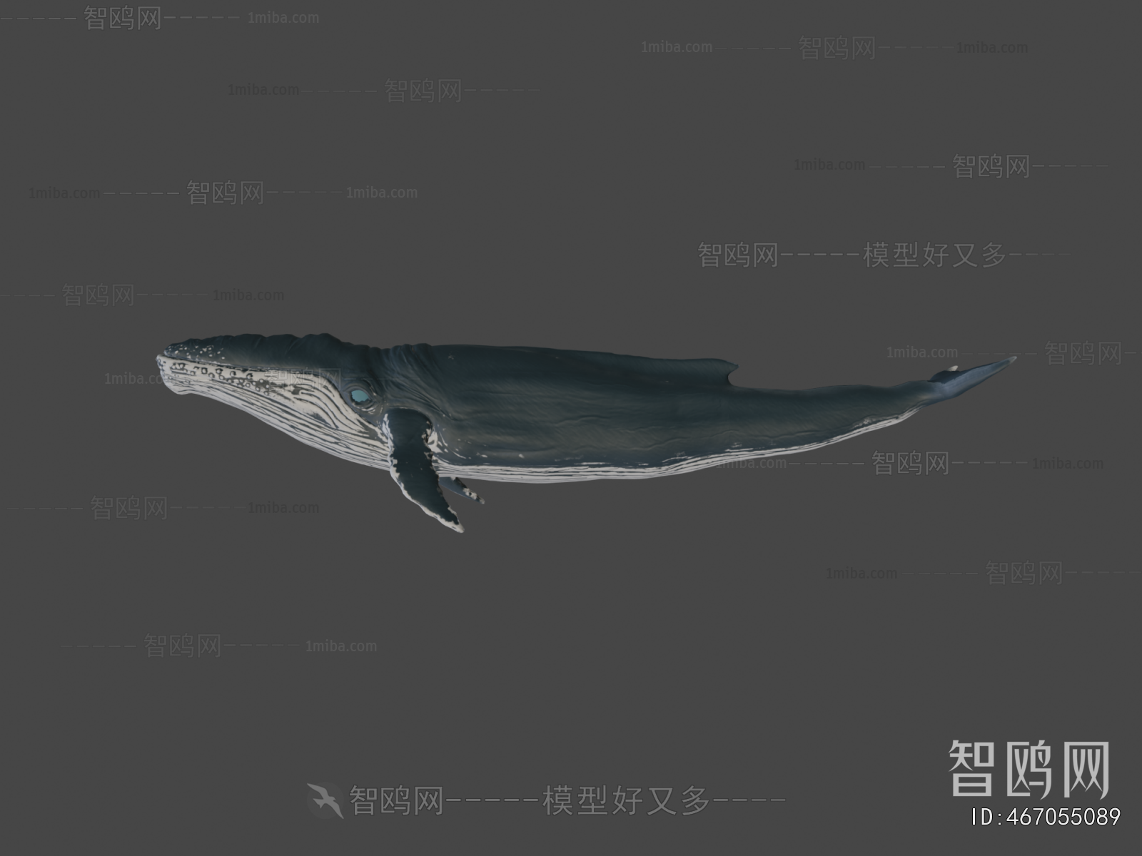 Modern Animal