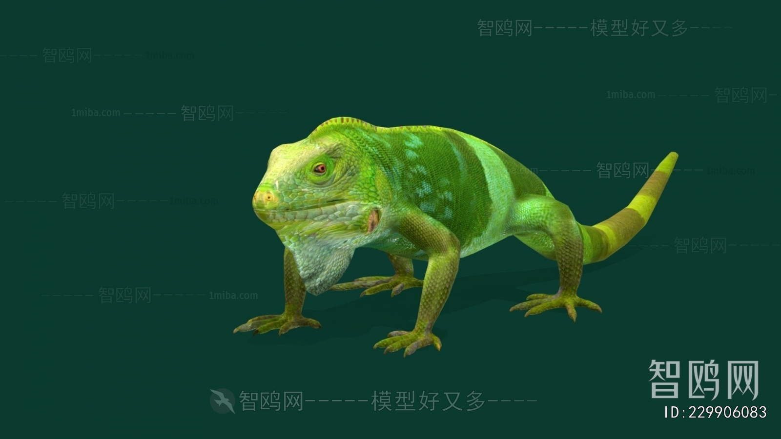 Modern Reptile