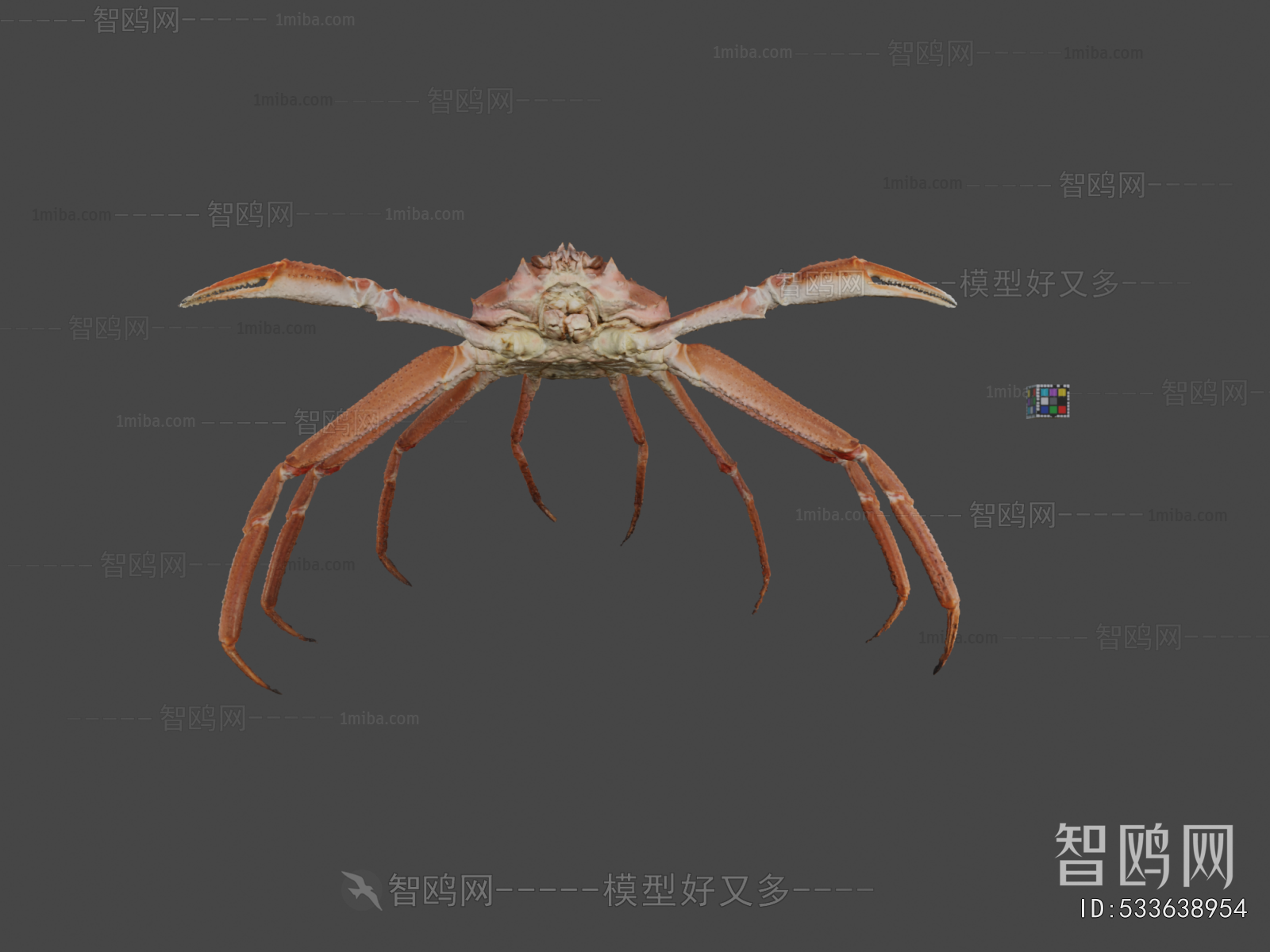Modern Aquatic Animals