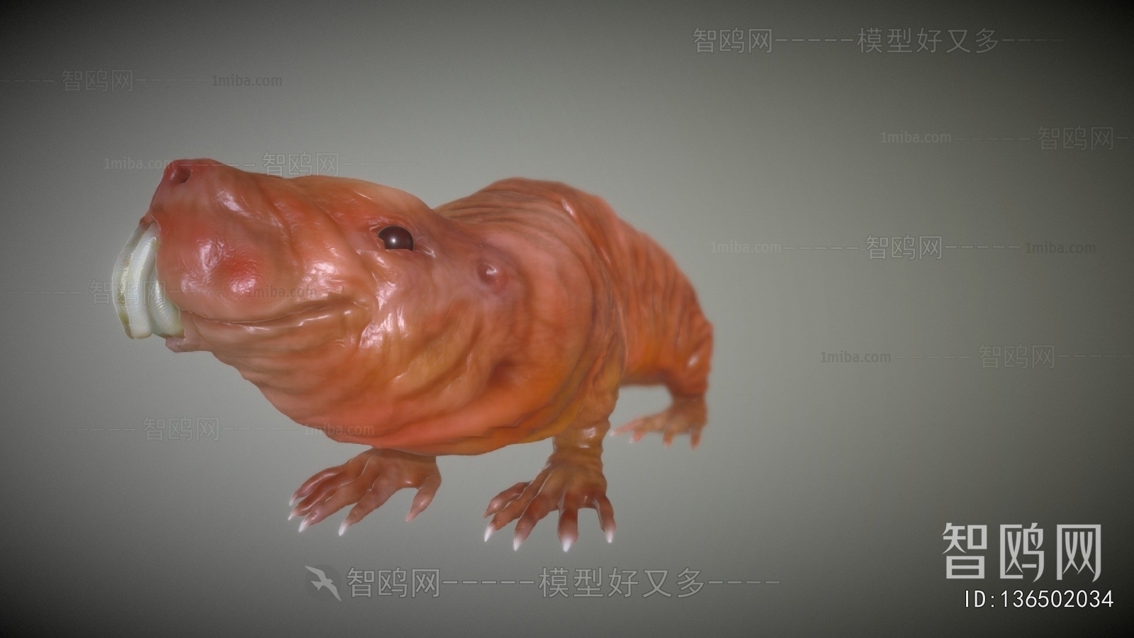 Modern Animal