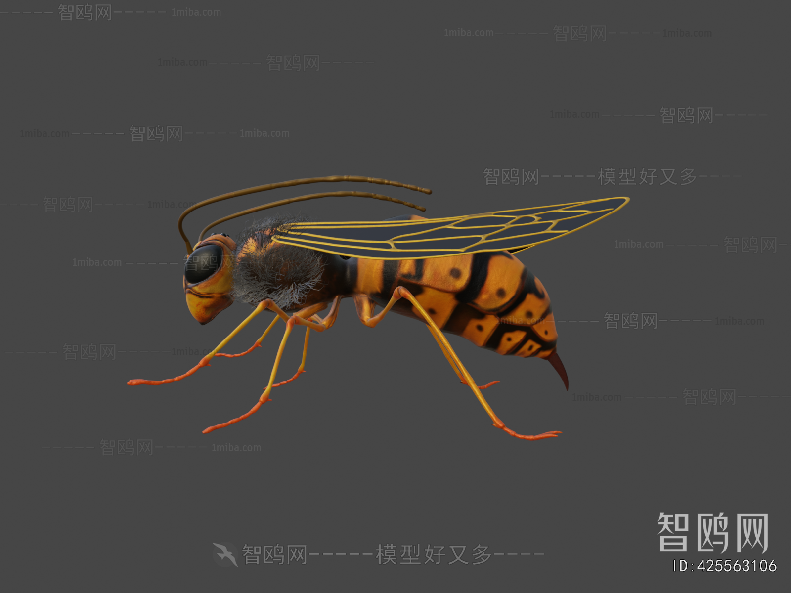 Modern Animal