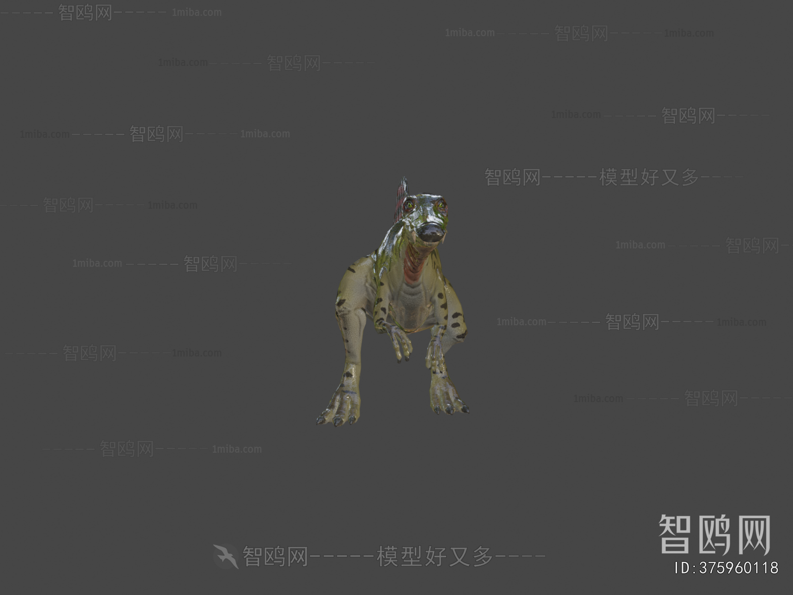 Modern Animal