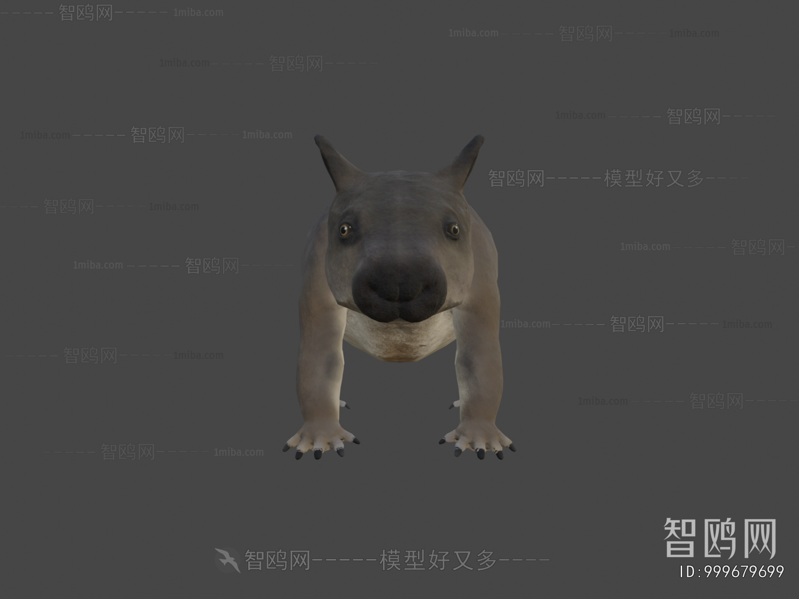 Modern Mammal