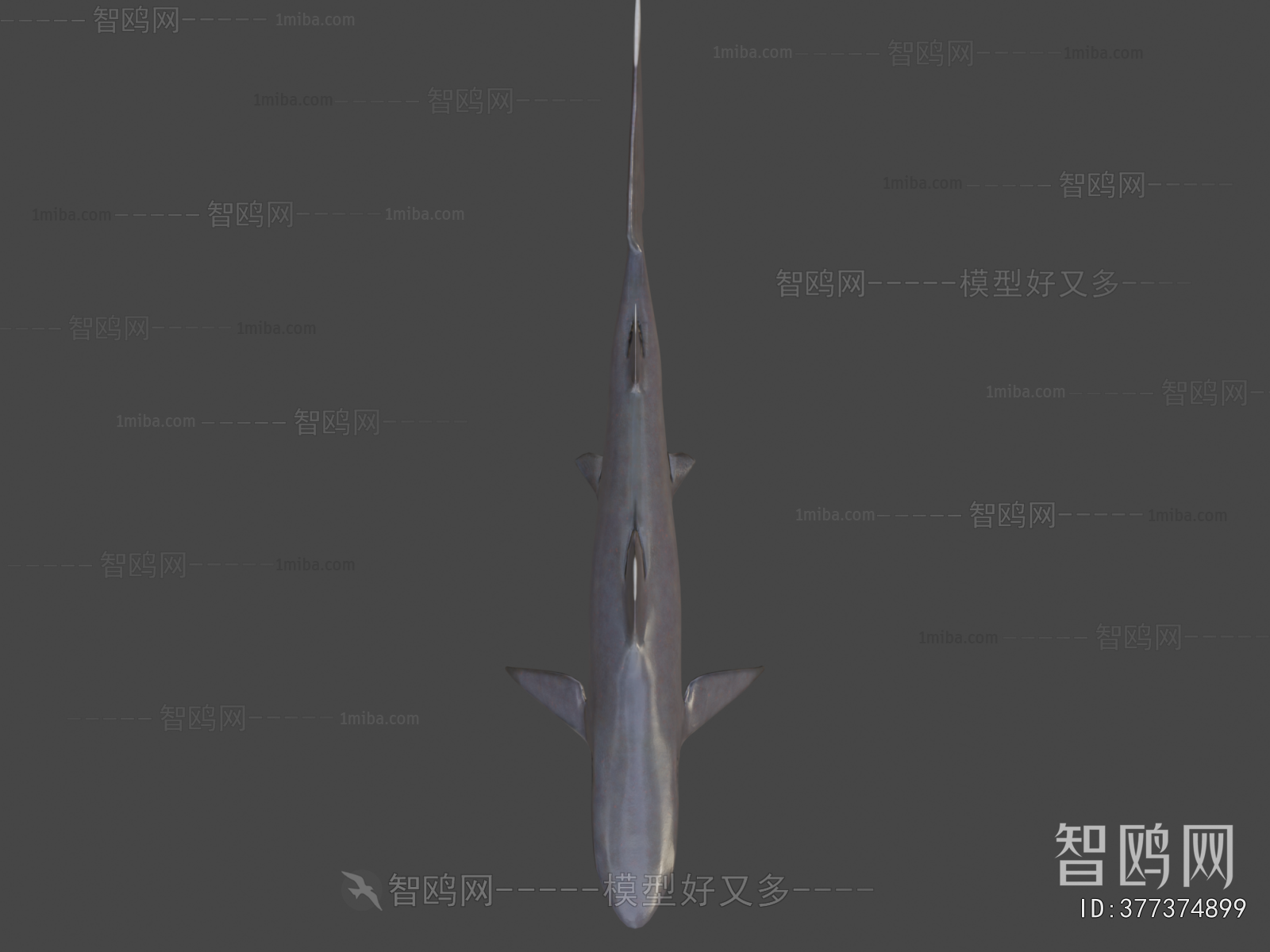 Modern Animal