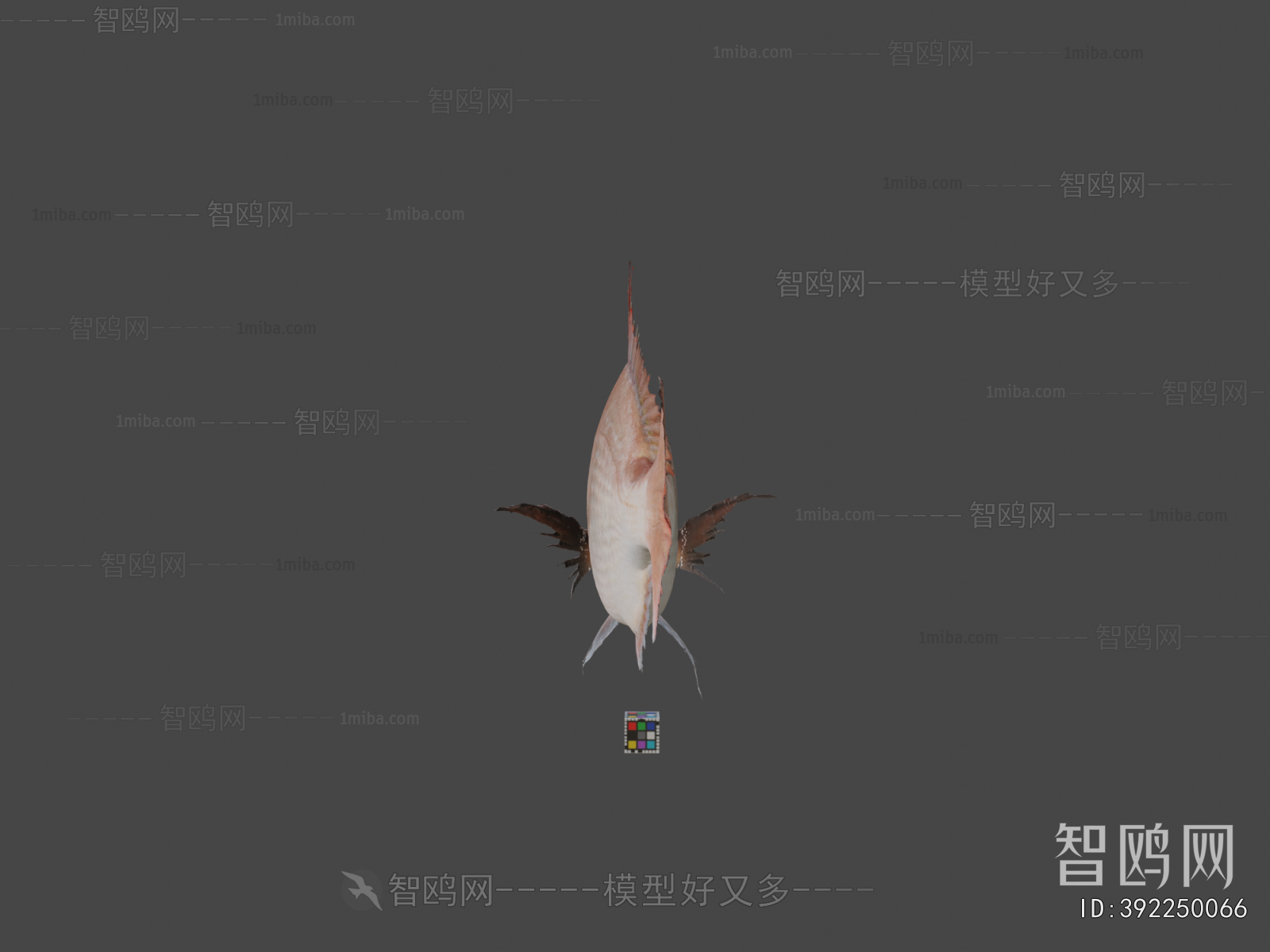 Modern Aquatic Animals