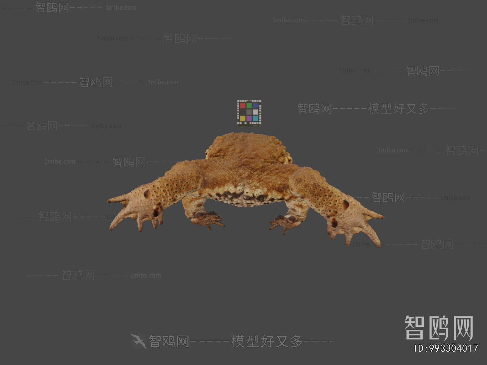 Modern Animal