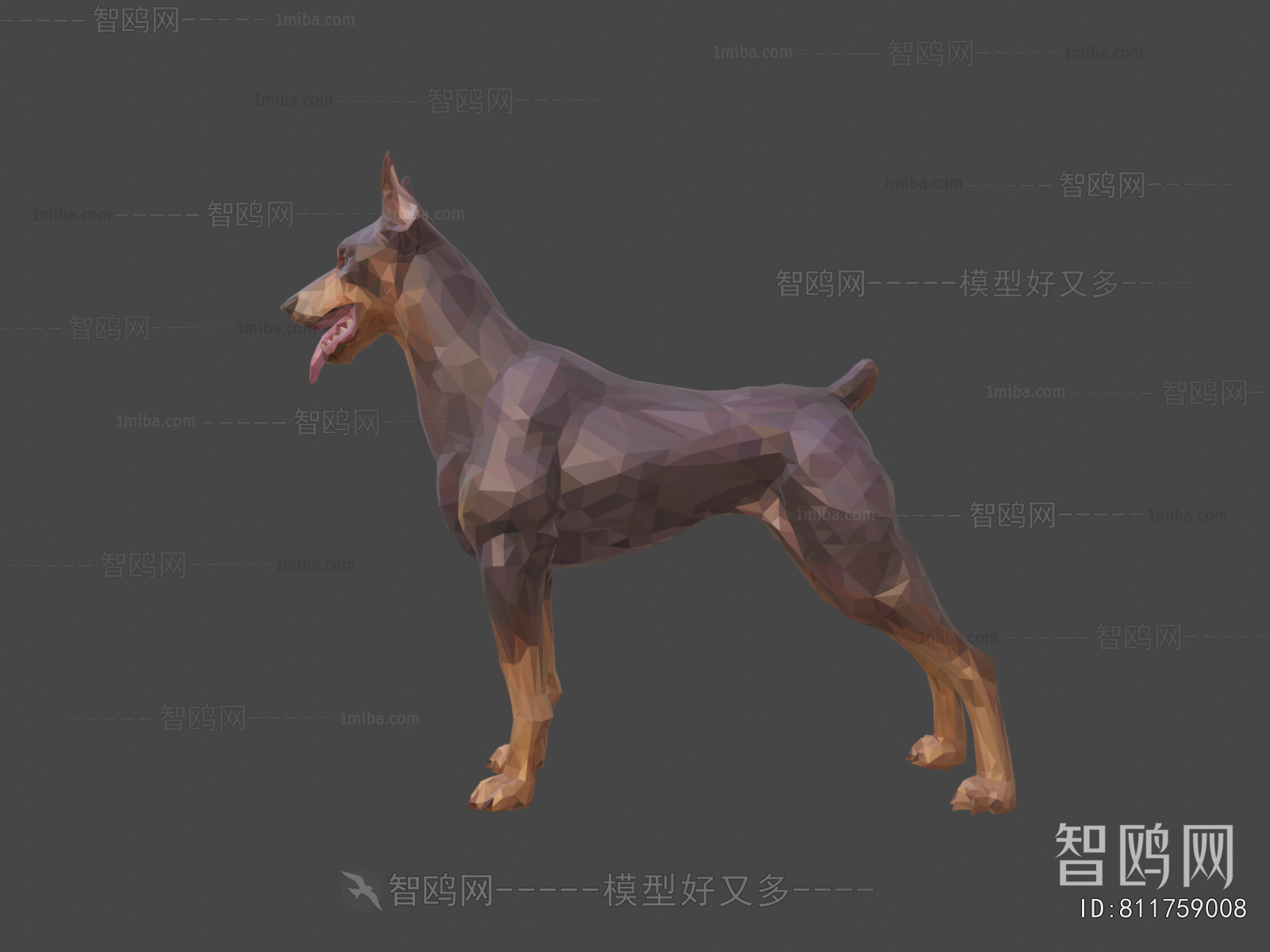 Modern Animal Dog