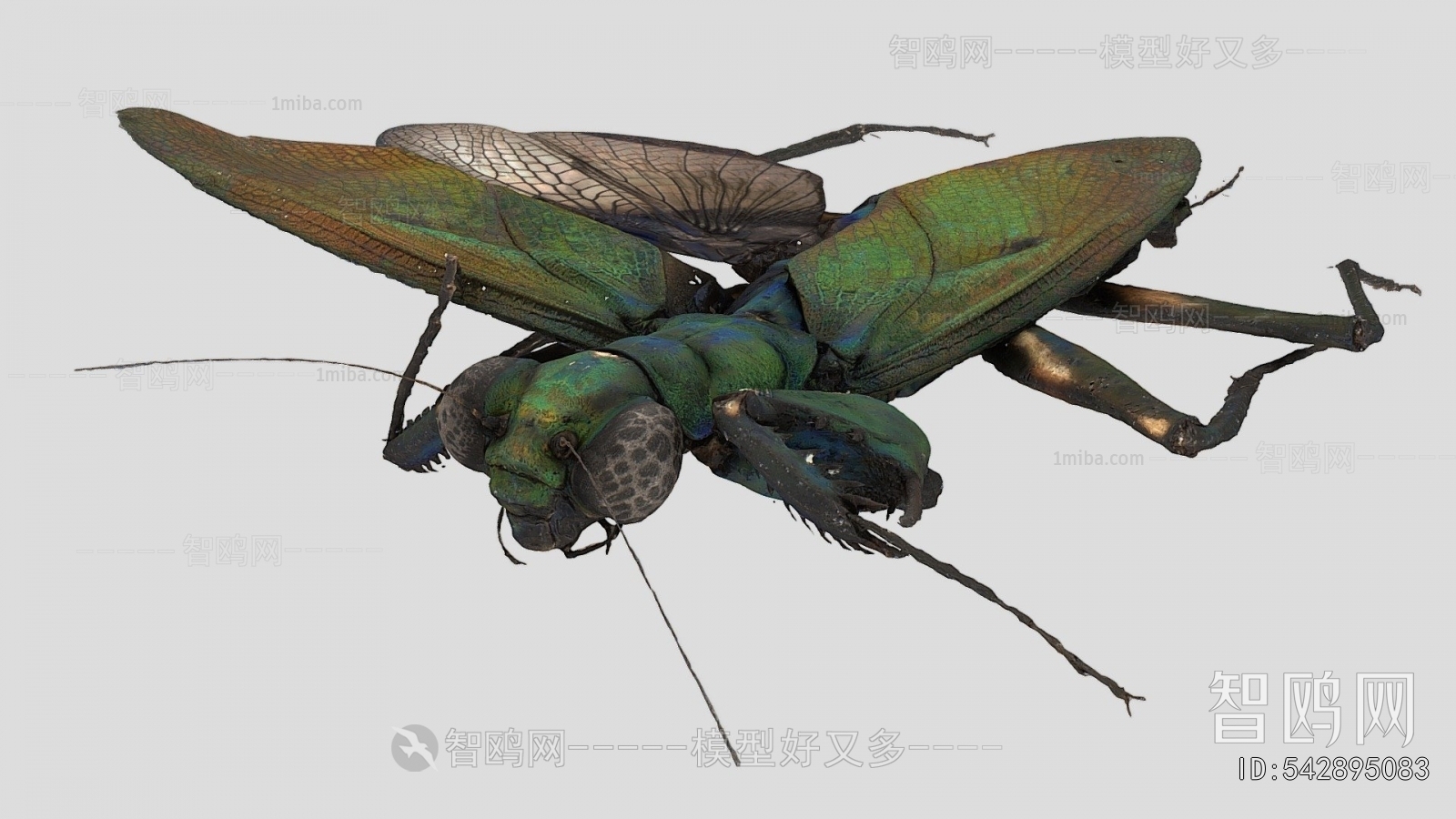 Modern Animal