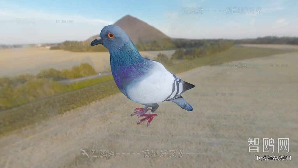 Modern Animal