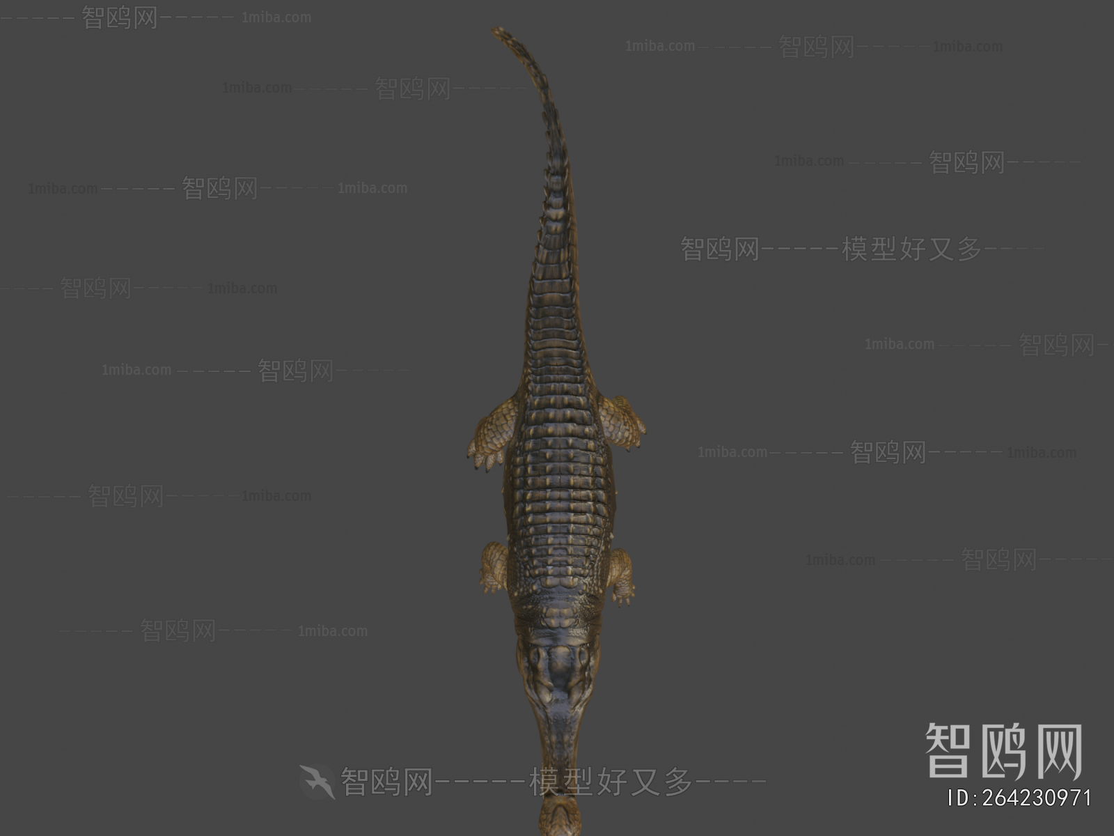 Modern Reptile