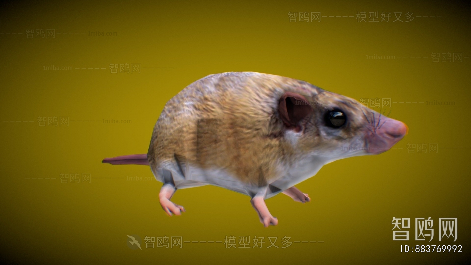 Modern Mammal