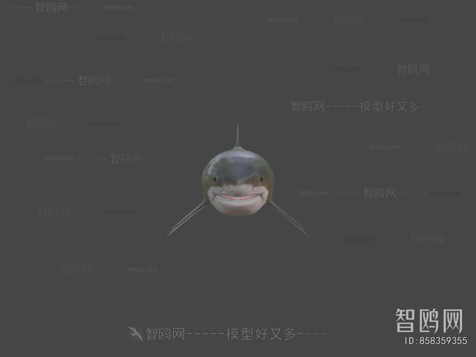 Modern Aquatic Animals