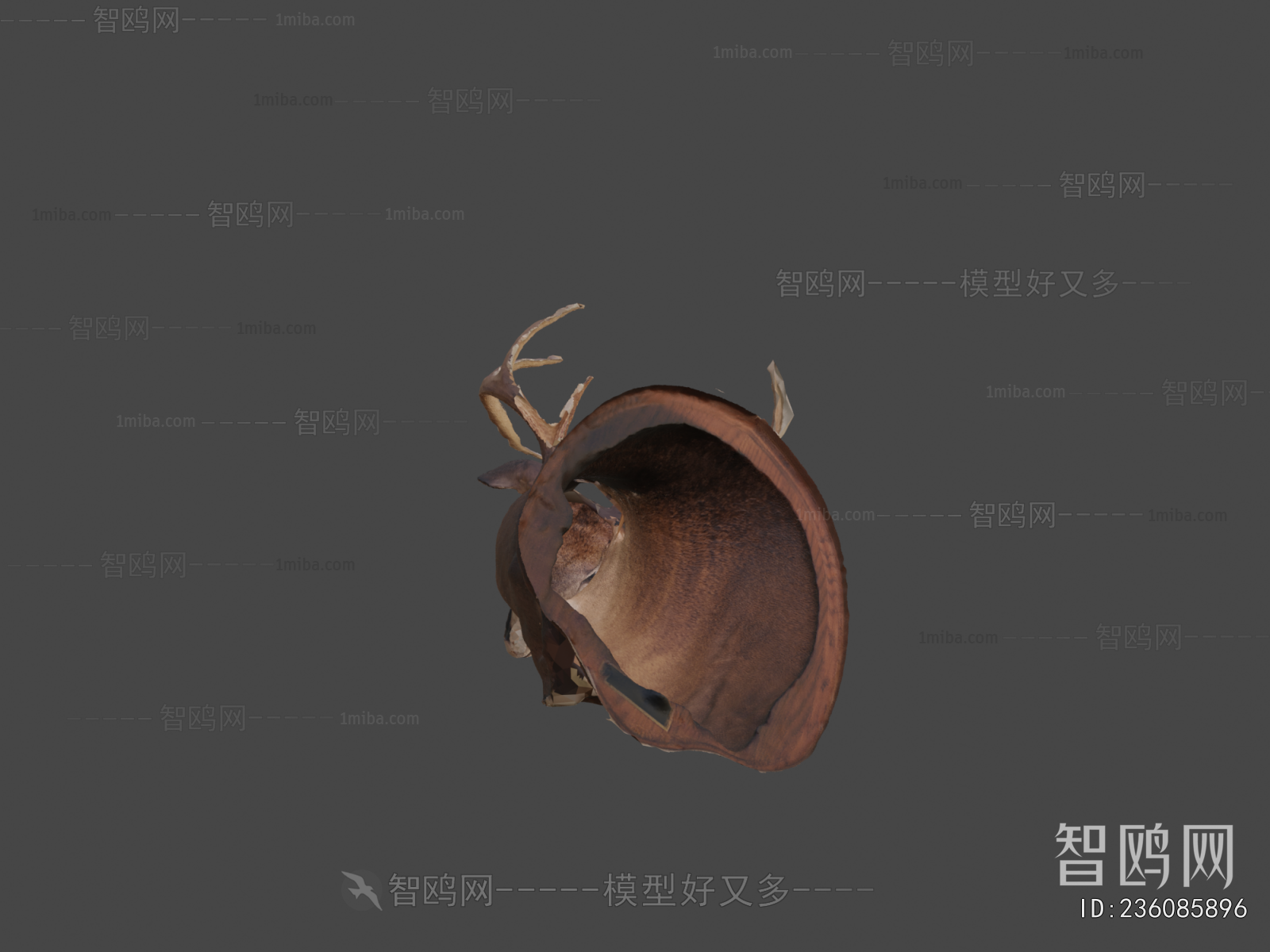 Modern Wall Decoration