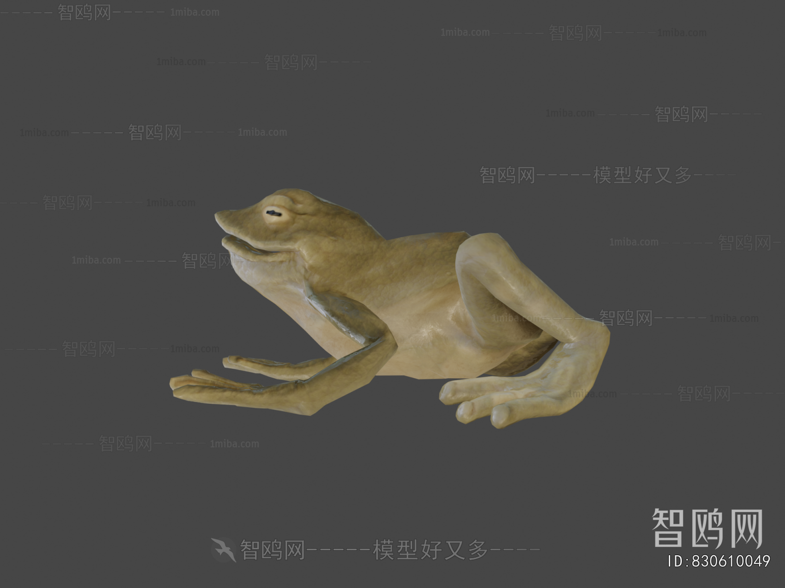 Modern Aquatic Animals