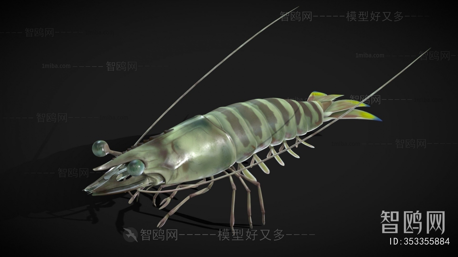 Modern Animal