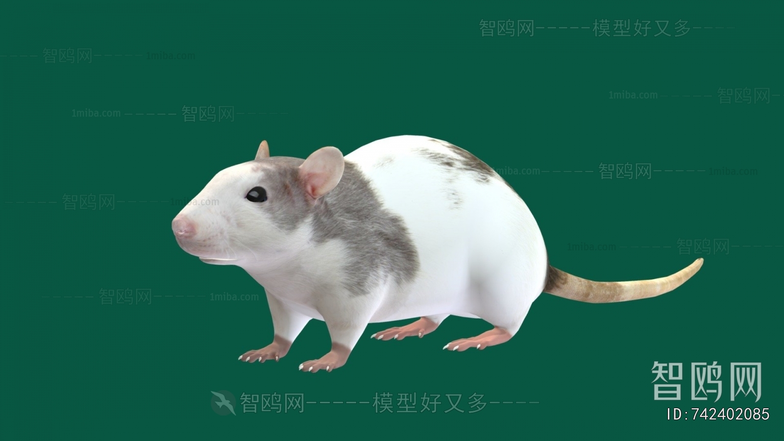 Modern Animal
