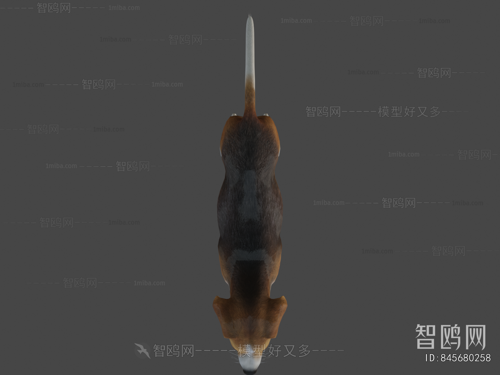 Modern Animal Dog