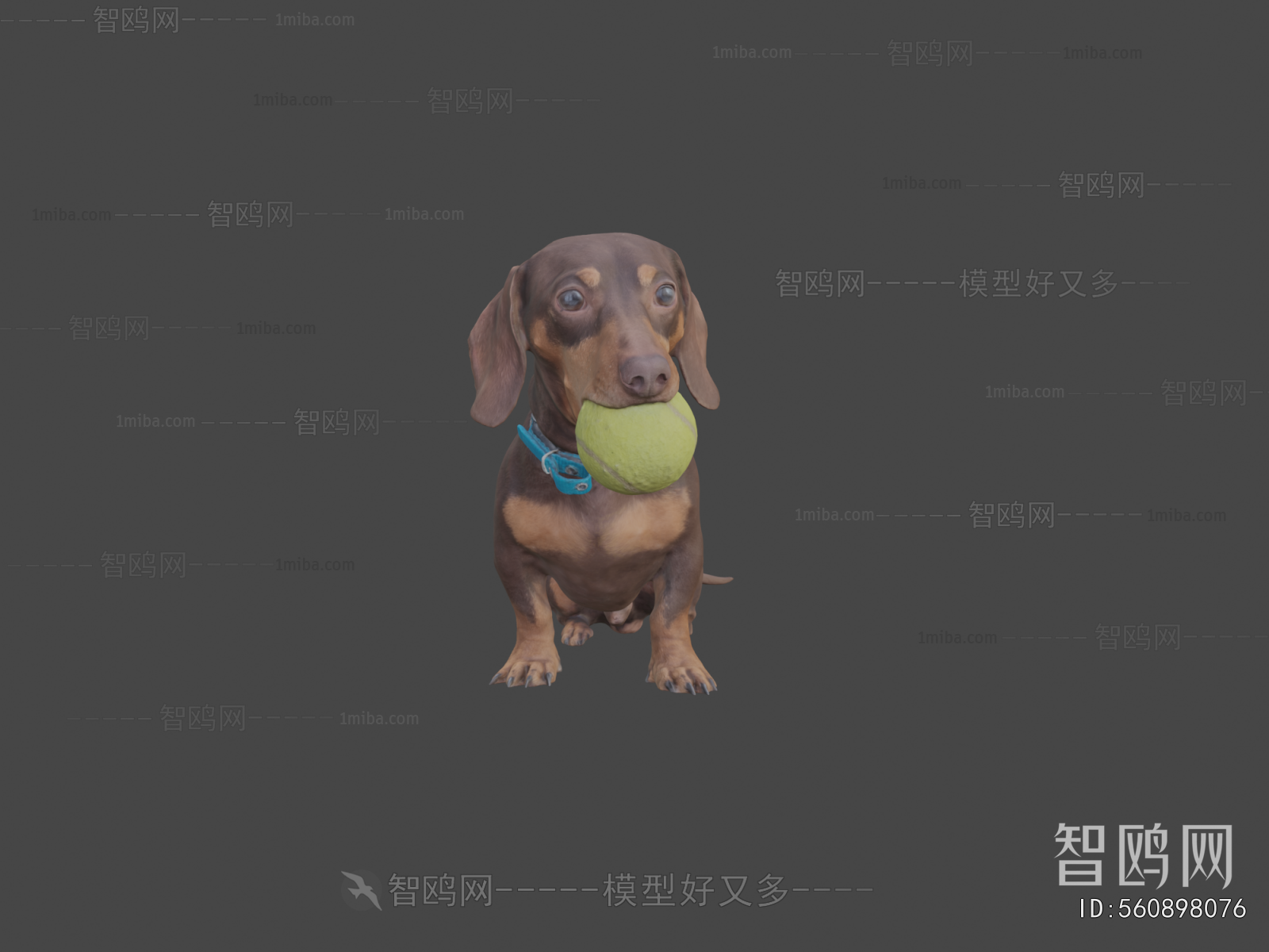 Modern Animal Dog