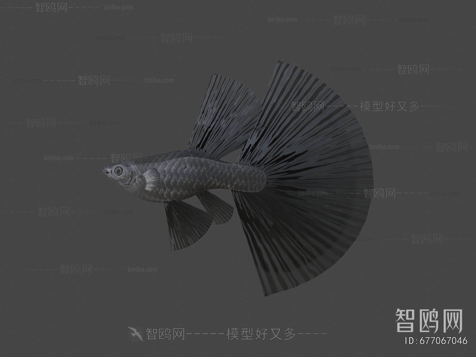Modern Aquatic Product
