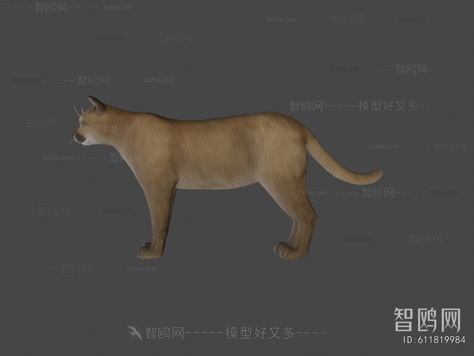 Modern Animal Cat