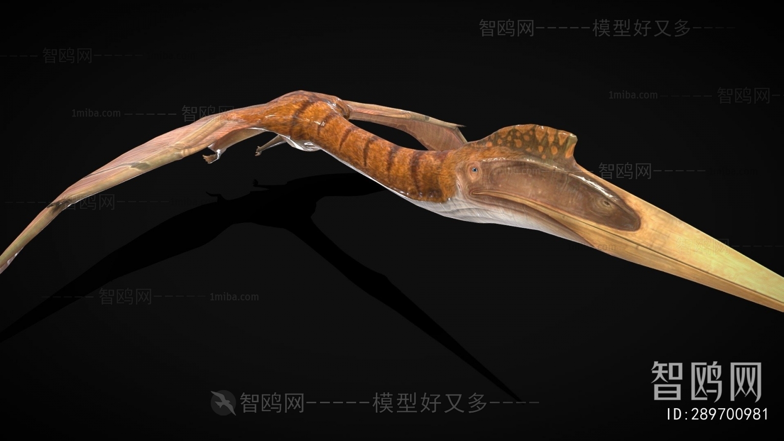 Modern Animal