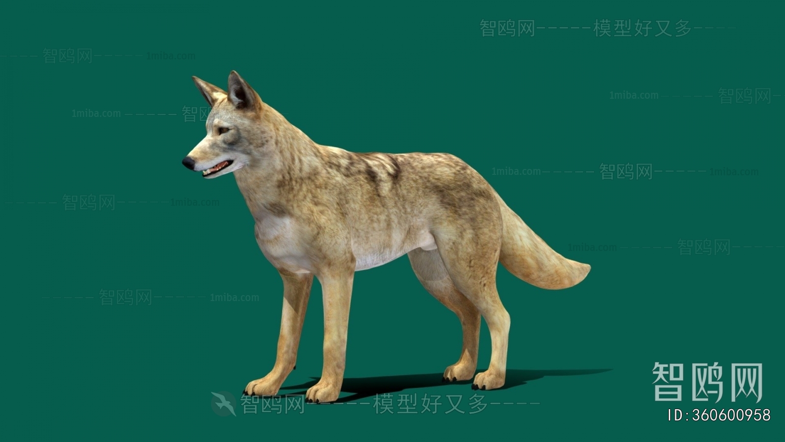 Modern Animal