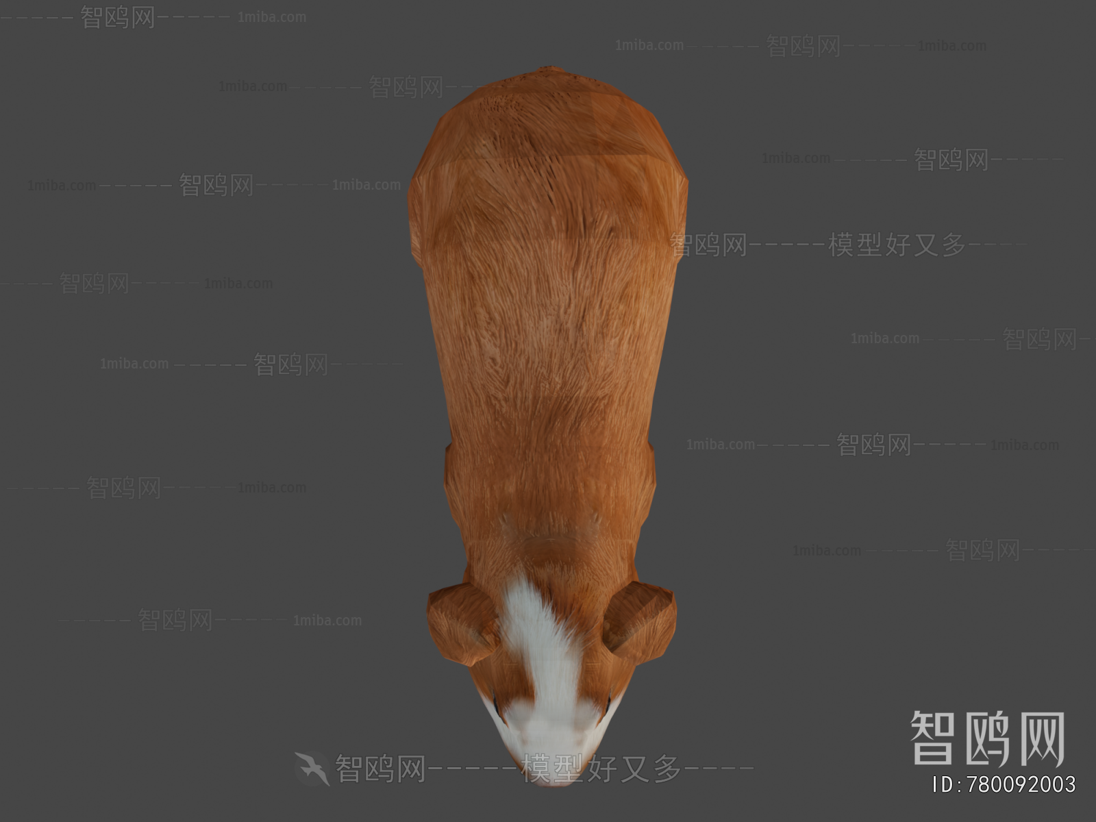 Modern Animal