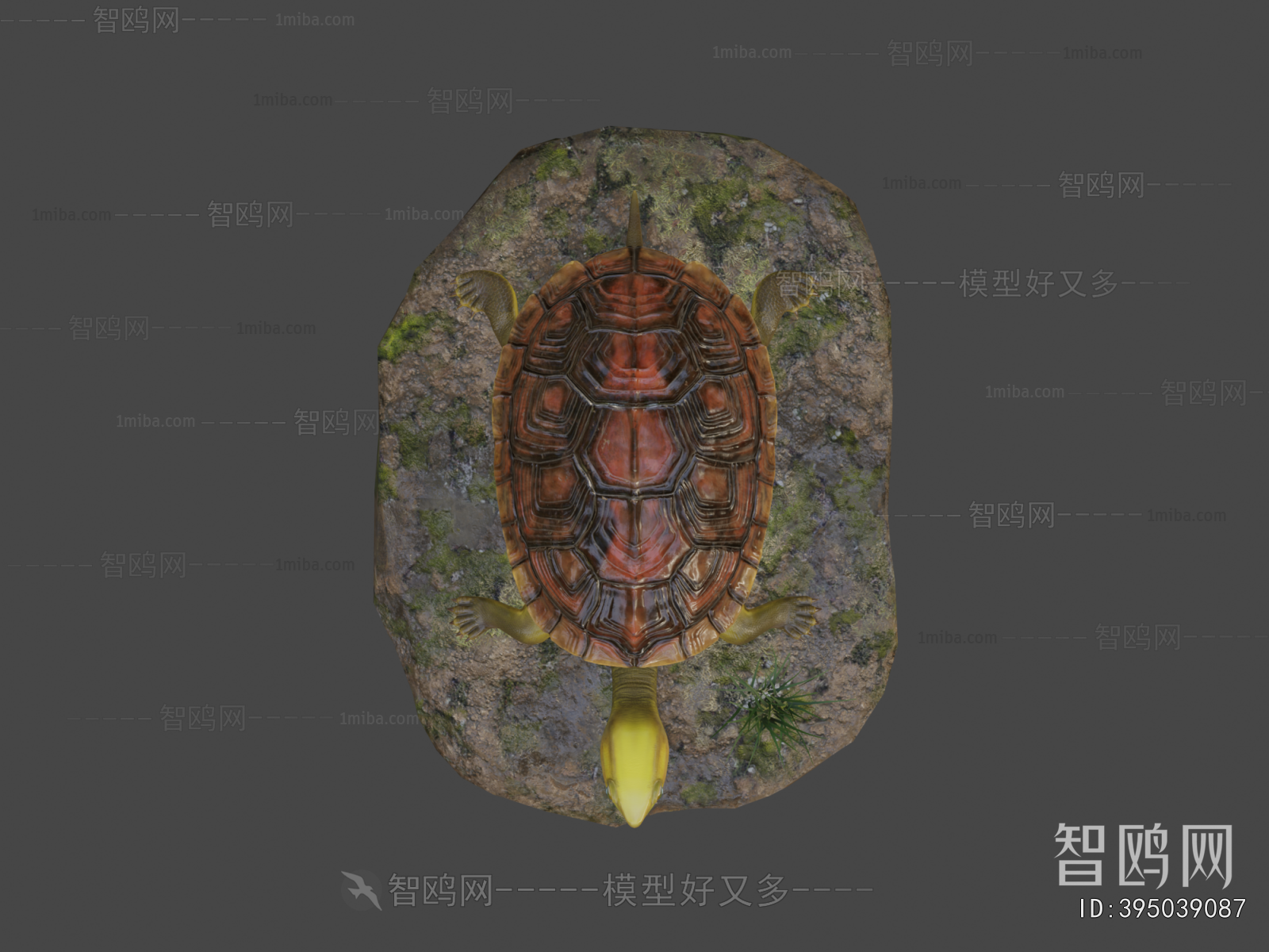 Modern Animal