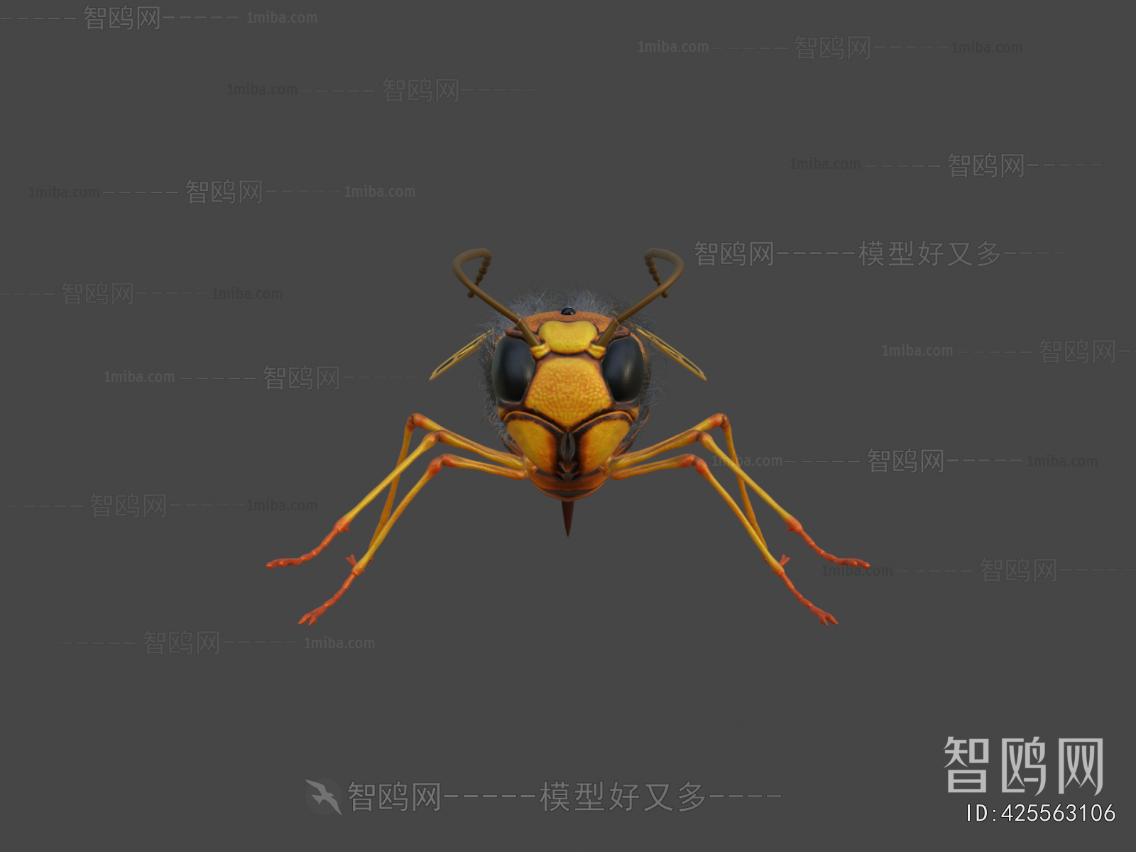 Modern Animal