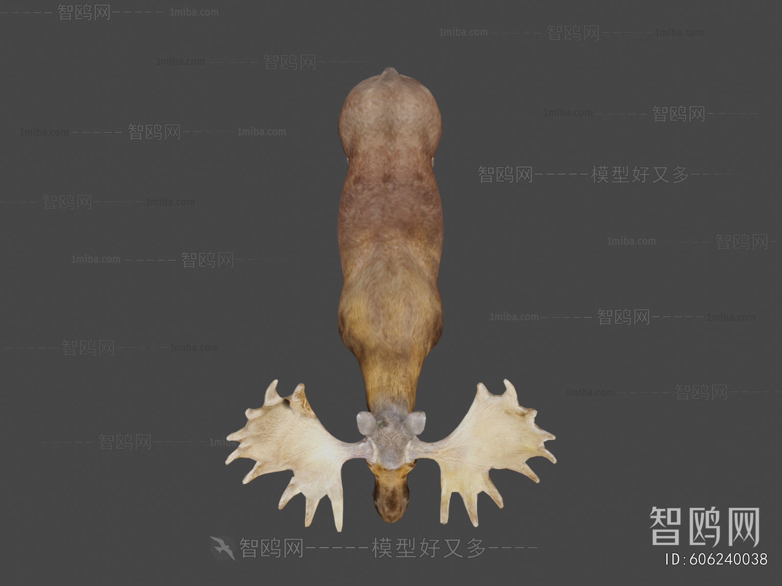Modern Animal