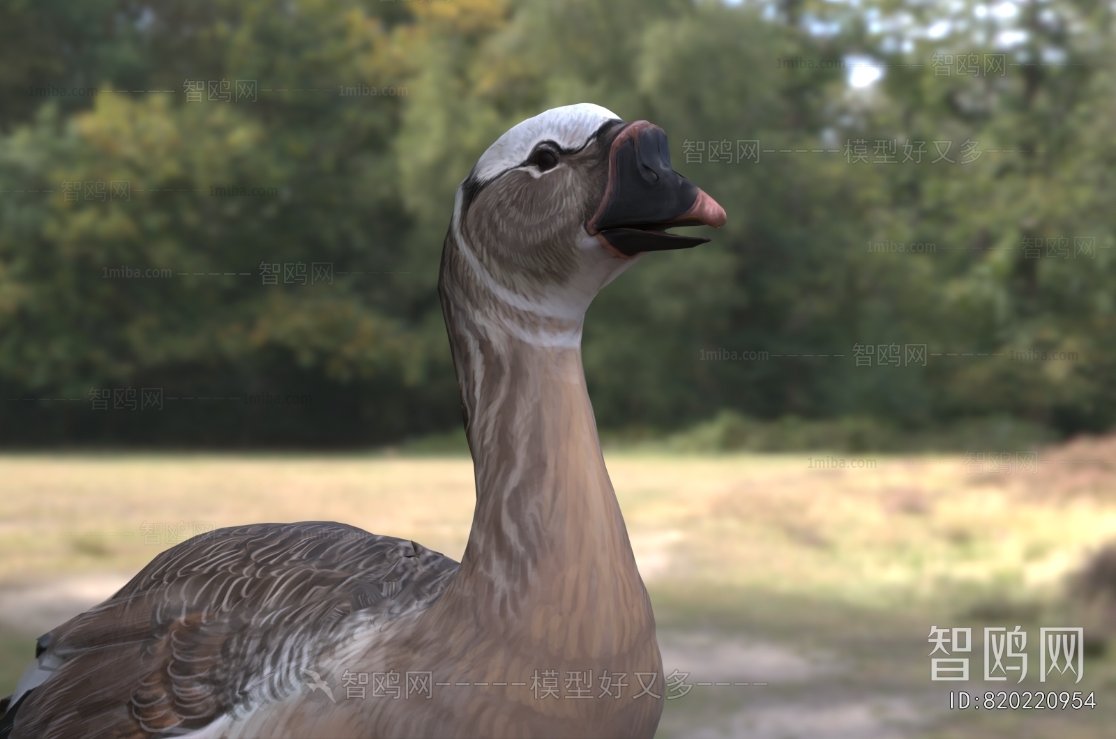 Modern Flying Animals
