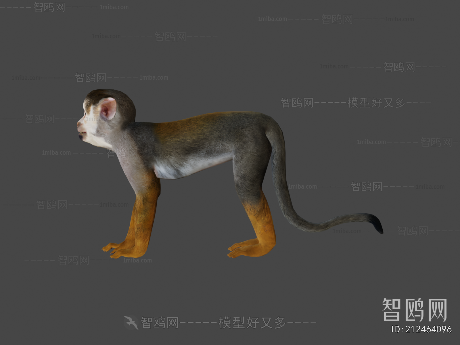 Modern Mammal