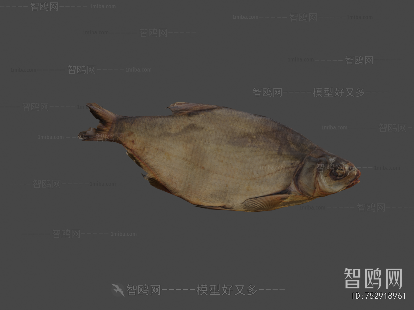 Modern Animal