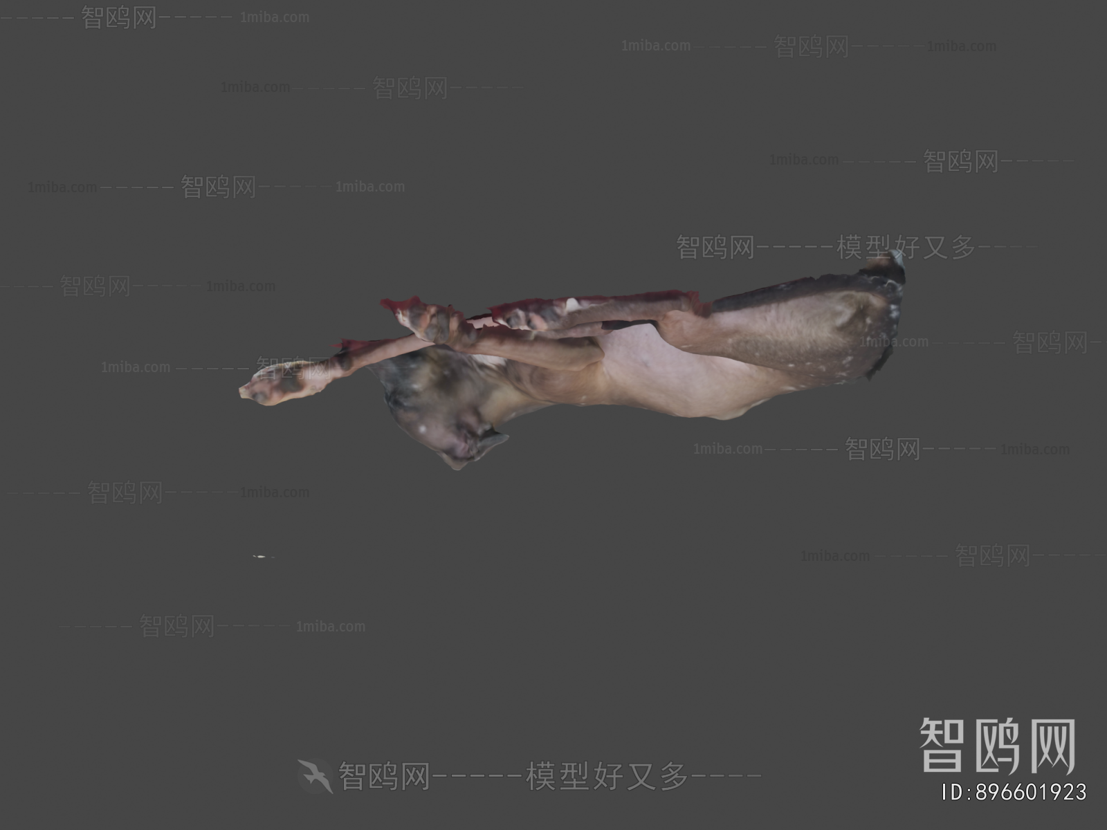 Modern Animal